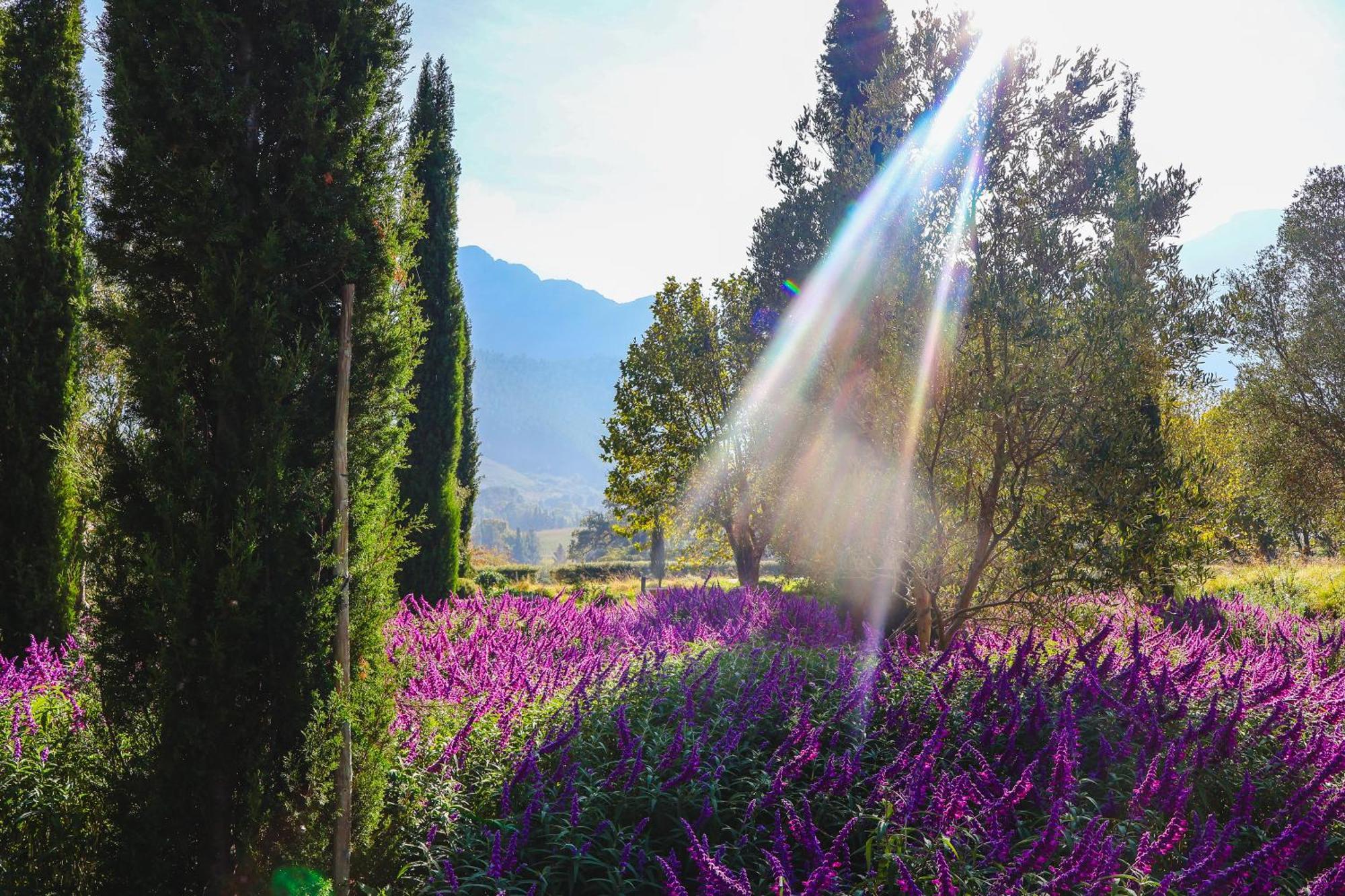La Villa Franschhoek Exteriér fotografie